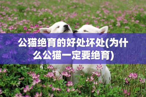公貓絕育的好處壞處(為什么公貓一定要絕育)