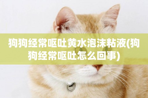 狗狗經常嘔吐黃水泡沫粘液(狗狗經常嘔吐怎么回事)
