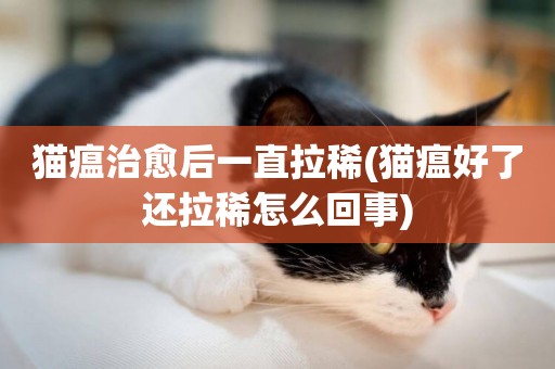 貓瘟治愈后一直拉稀(貓瘟好了還拉稀怎么回事)
