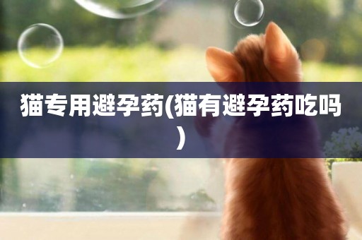 貓專用避孕藥(貓有避孕藥吃嗎)
