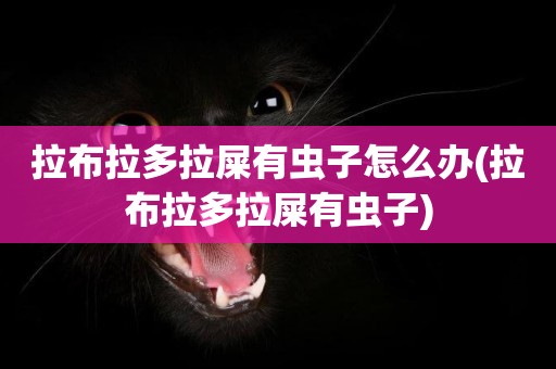 拉布拉多拉屎有蟲子怎么辦(拉布拉多拉屎有蟲子)