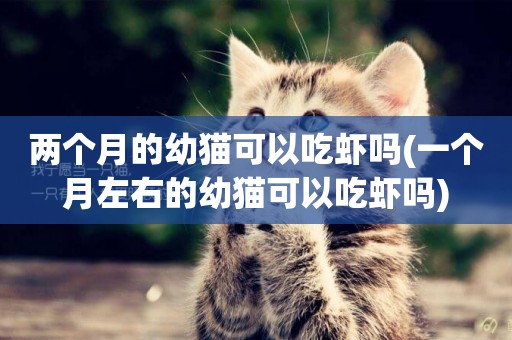 兩個月的幼貓可以吃蝦嗎(一個月左右的幼貓可以吃蝦嗎)