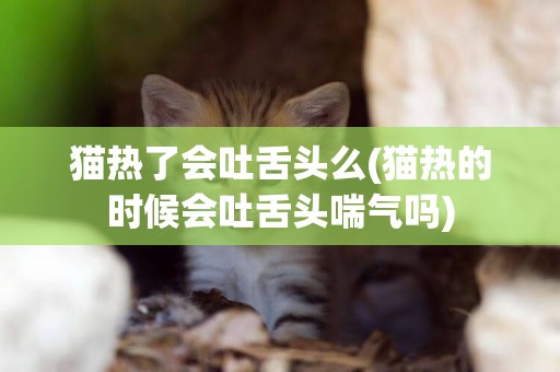 貓熱了會吐舌頭么(貓熱的時候會吐舌頭喘氣嗎)