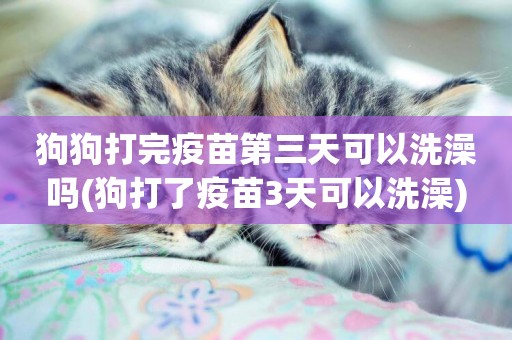 狗狗打完疫苗第三天可以洗澡嗎(狗打了疫苗3天可以洗澡)