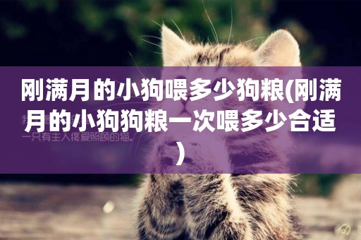 剛滿月的小狗喂多少狗糧(剛滿月的小狗狗糧一次喂多少合適)