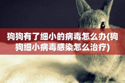 狗狗有了細小的病毒怎么辦(狗狗細小病毒感染怎么治療)