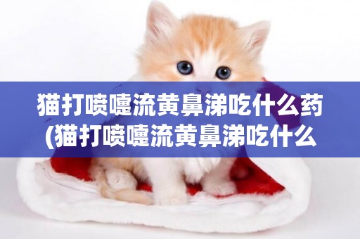 貓打噴嚏流黃鼻涕吃什么藥(貓打噴嚏流黃鼻涕吃什么藥知乎)