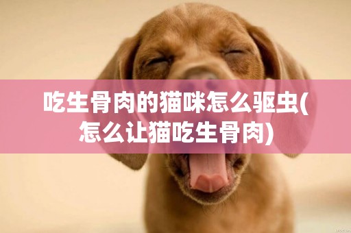 吃生骨肉的貓咪怎么驅蟲(怎么讓貓吃生骨肉)