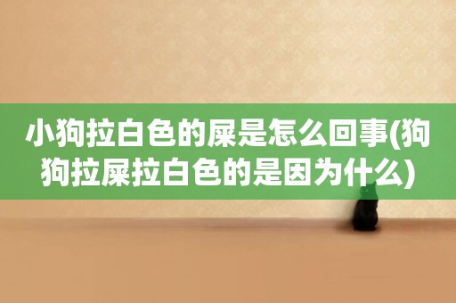 小狗拉白色的屎是怎么回事(狗狗拉屎拉白色的是因為什么)