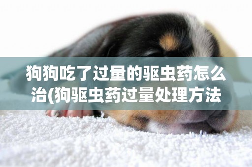 狗狗吃了過量的驅蟲藥怎么治(狗驅蟲藥過量處理方法)