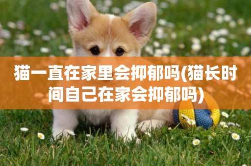 貓一直在家里會抑郁嗎(貓長時間自己在家會抑郁嗎)