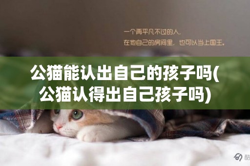 公貓能認出自己的孩子嗎(公貓認得出自己孩子嗎)