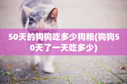 50天的狗狗吃多少狗糧(狗狗50天了一天吃多少)