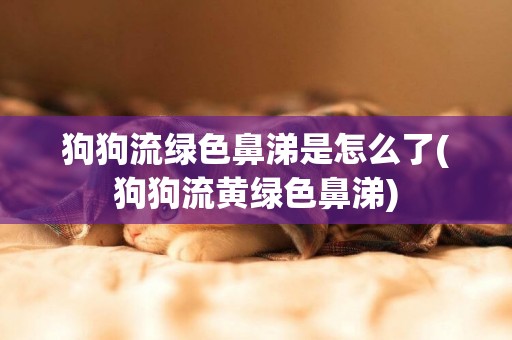狗狗流綠色鼻涕是怎么了(狗狗流黃綠色鼻涕)