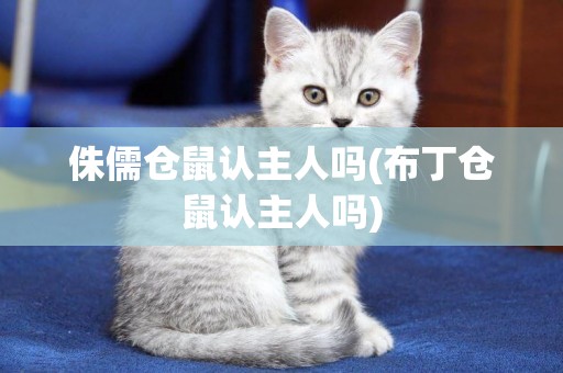 侏儒倉鼠認主人嗎(布丁倉鼠認主人嗎)