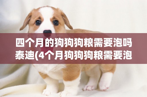 四個月的狗狗狗糧需要泡嗎泰迪(4個月狗狗狗糧需要泡嗎)