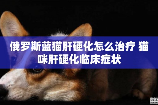 俄羅斯藍貓肝硬化怎么治療 貓咪肝硬化臨床癥狀