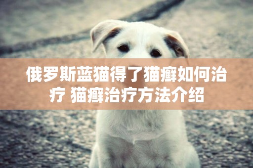 俄羅斯藍貓得了貓癬如何治療 貓癬治療方法介紹