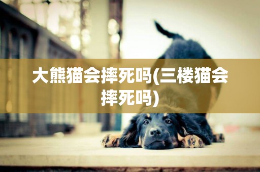 大熊貓會摔死嗎(三樓貓會摔死嗎)