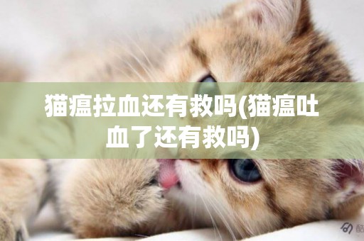 貓瘟拉血還有救嗎(貓瘟吐血了還有救嗎)