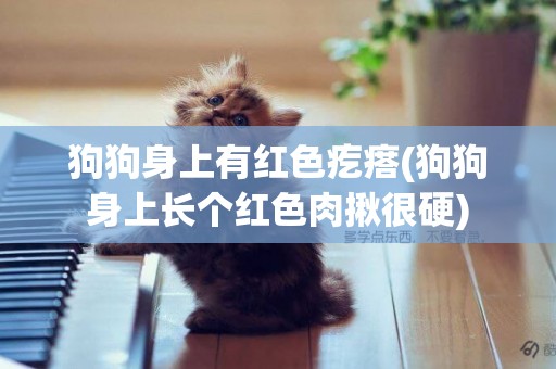 狗狗身上有紅色疙瘩(狗狗身上長個紅色肉揪很硬)