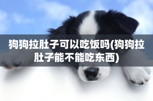 狗狗拉肚子可以吃飯嗎(狗狗拉肚子能不能吃東西)