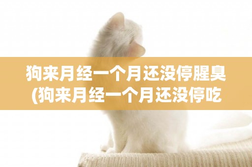 狗來月經一個月還沒停腥臭(狗來月經一個月還沒停吃什么藥)