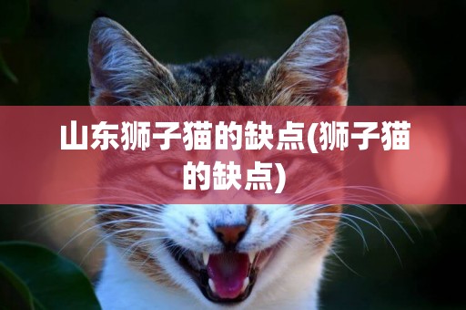 山東獅子貓的缺點(獅子貓的缺點)