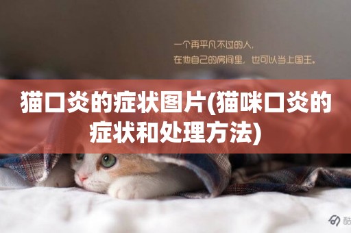 貓口炎的癥狀圖片(貓咪口炎的癥狀和處理方法)
