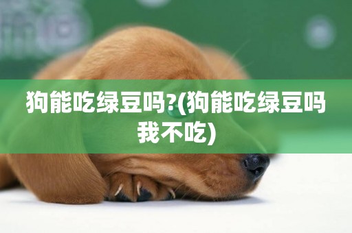 狗能吃綠豆嗎?(狗能吃綠豆嗎我不吃)
