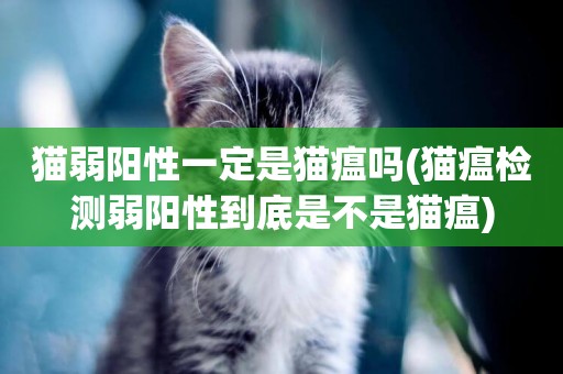 貓弱陽性一定是貓瘟嗎(貓瘟檢測弱陽性到底是不是貓瘟)