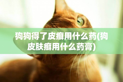 狗狗得了皮癬用什么藥(狗皮膚癬用什么藥膏)