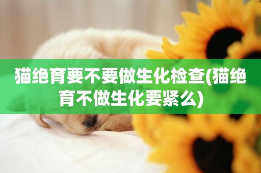 貓絕育要不要做生化檢查(貓絕育不做生化要緊么)