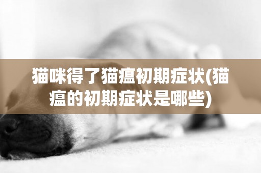 貓咪得了貓瘟初期癥狀(貓瘟的初期癥狀是哪些)