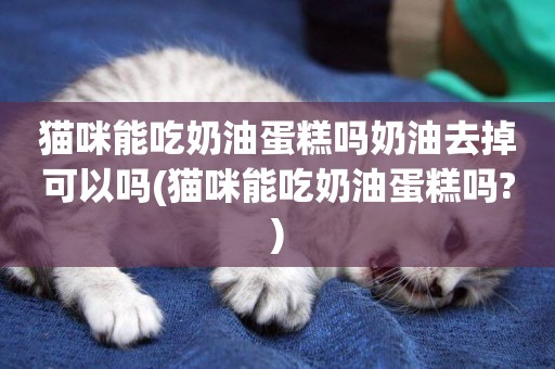 貓咪能吃奶油蛋糕嗎奶油去掉可以嗎(貓咪能吃奶油蛋糕嗎?)