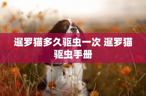 暹羅貓多久驅蟲一次 暹羅貓驅蟲手冊