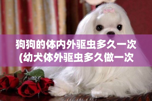 狗狗的體內外驅蟲多久一次(幼犬體外驅蟲多久做一次)