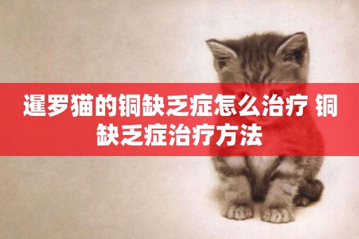 暹羅貓的銅缺乏癥怎么治療 銅缺乏癥治療方法