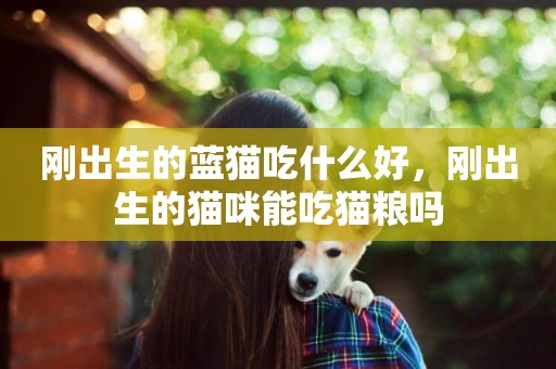 剛出生的藍貓吃什么好，剛出生的貓咪能吃貓糧嗎