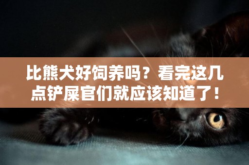 比熊犬好飼養嗎？看完這幾點鏟屎官們就應該知道了！