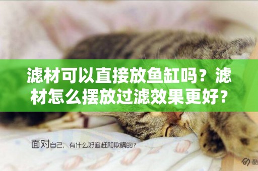 濾材可以直接放魚缸嗎？濾材怎么擺放過濾效果更好？