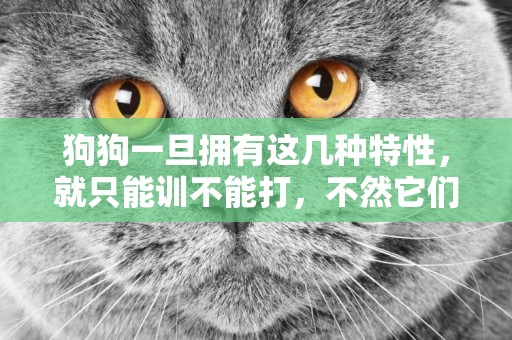 狗狗一旦擁有這幾種特性，就只能訓不能打，不然它們會記仇