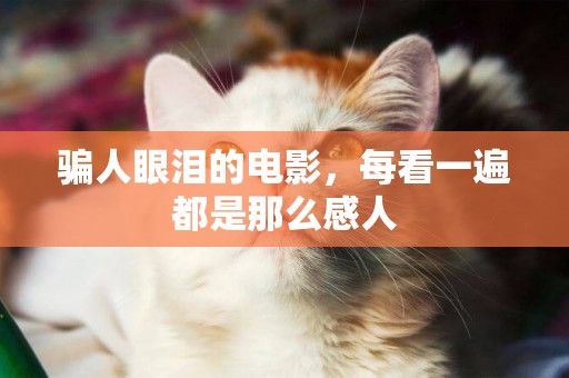 騙人眼淚的電影，每看一遍都是那么感人