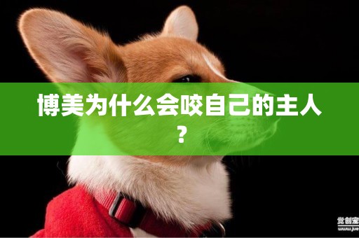 博美為什么會咬自己的主人？