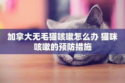 加拿大無毛貓咳嗽怎么辦 貓咪咳嗽的預防措施