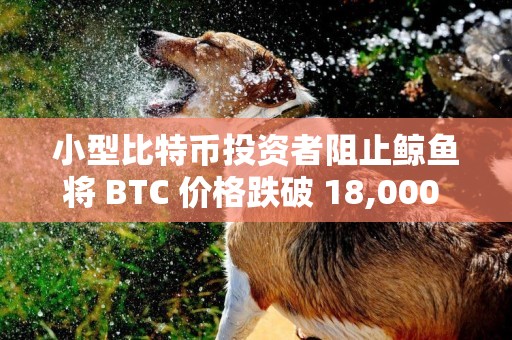 小型比特幣投資者阻止鯨魚將 BTC 價格跌破 18,000 美元
