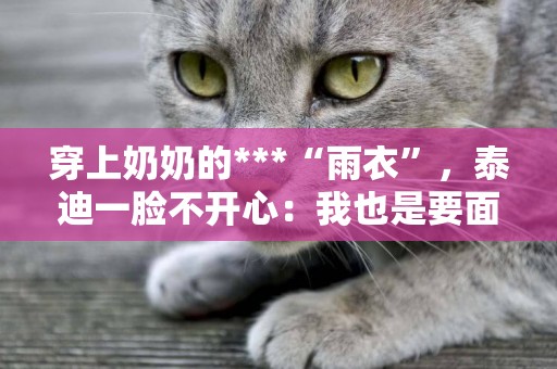 穿上奶奶的***“雨衣”，泰迪一臉不開心：我也是要面子的