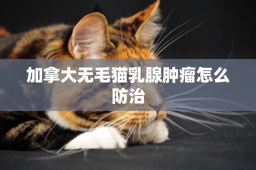 加拿大無毛貓乳腺腫瘤怎么防治