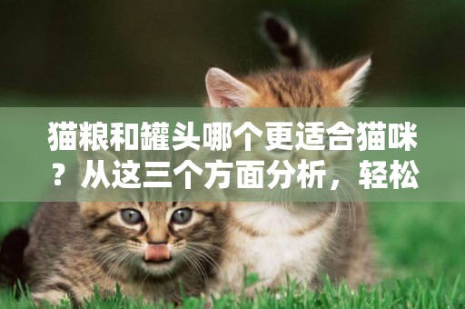 貓糧和罐頭哪個更適合貓咪？從這三個方面分析，輕松做出選擇！