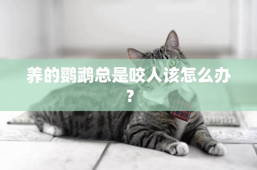 養的鸚鵡總是咬人該怎么辦？